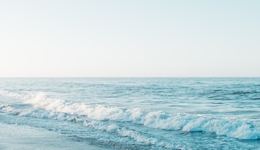 おひとり様の葬儀は誰がやる？終活で今から決めておくべきこと