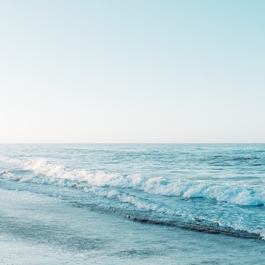 おひとり様の葬儀は誰がやる？終活で今から決めておくべきこと